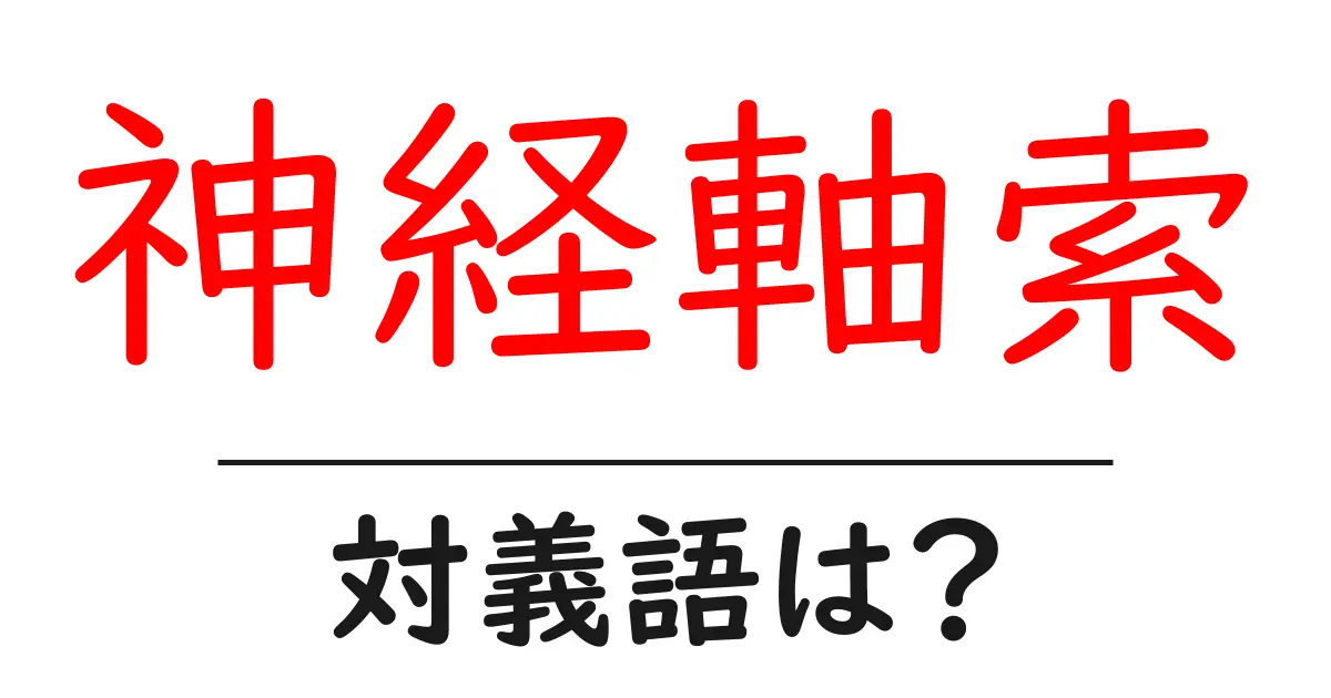 神経軸索の対義語・反対語を使用例を交えて分かりやすく解説!