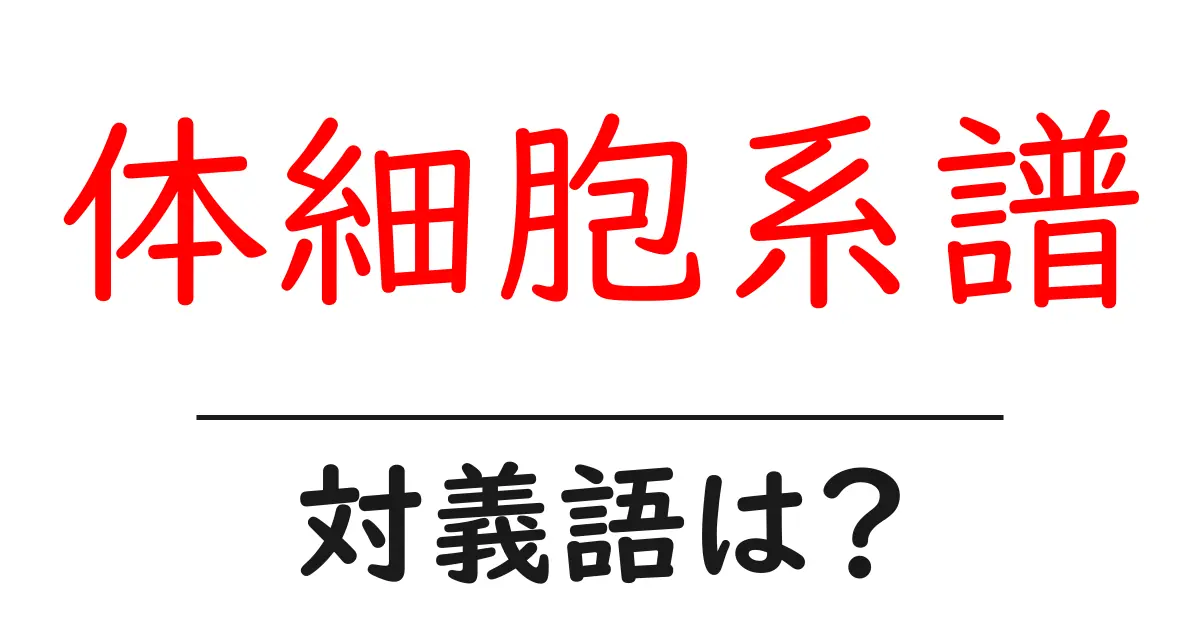 体細胞系譜の対義語・反対語を使用例を交えて分かりやすく解説！
