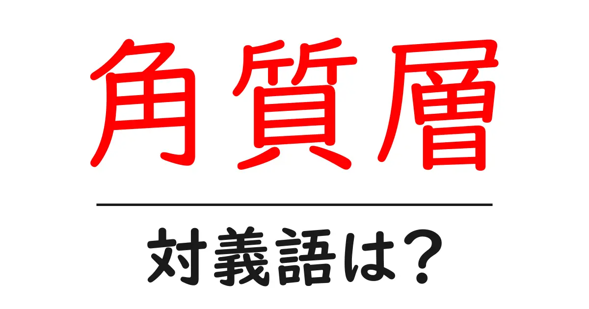 角質層の対義語・反対語を使用例を交えて分かりやすく解説!