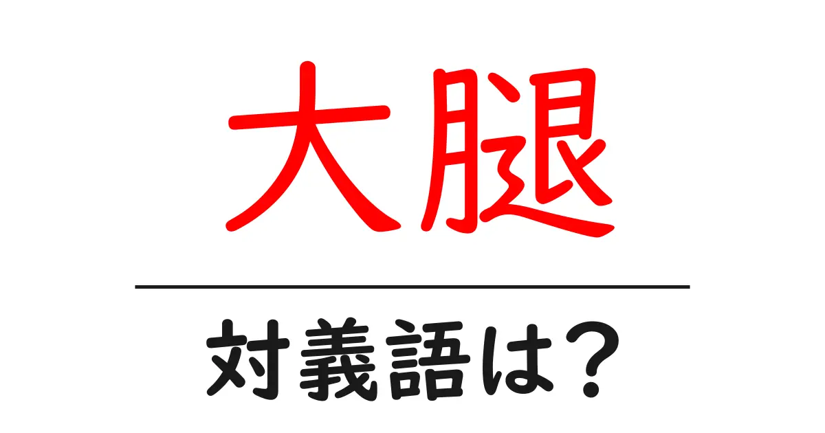 大腿の対義語・反対語を使用例を交えて分かりやすく解説!