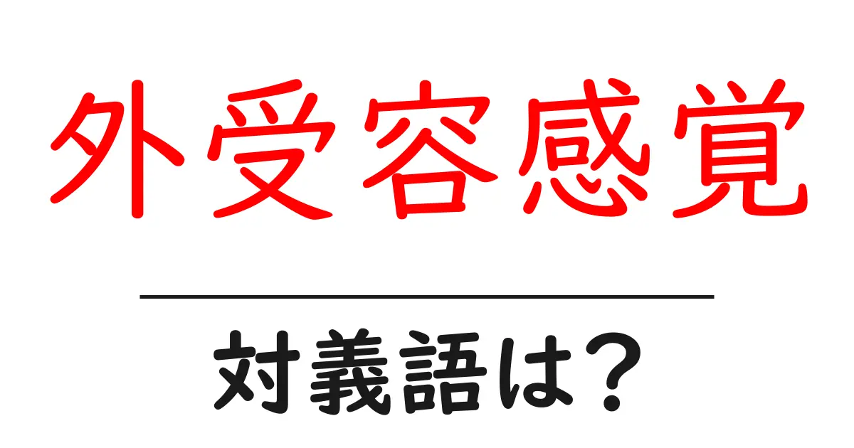 外受容感覚の対義語・反対語を使用例を交えて分かりやすく解説!