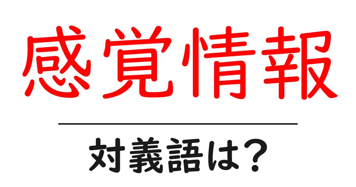 感覚情報の対義語・反対語を使用例を交えて分かりやすく解説!