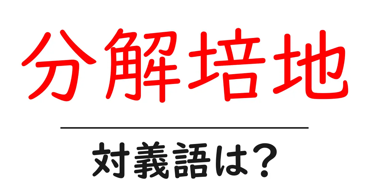 分解培地の対義語・反対語を使用例を交えて分かりやすく解説!