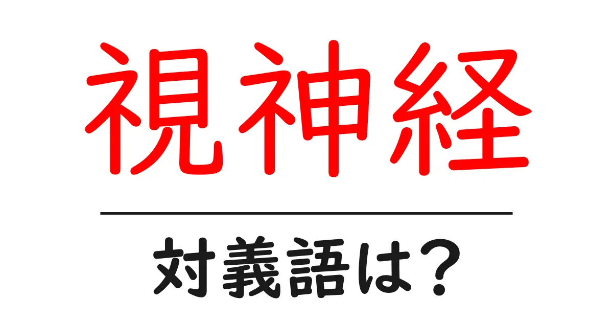 視神経の対義語・反対語を使用例を交えて分かりやすく解説!