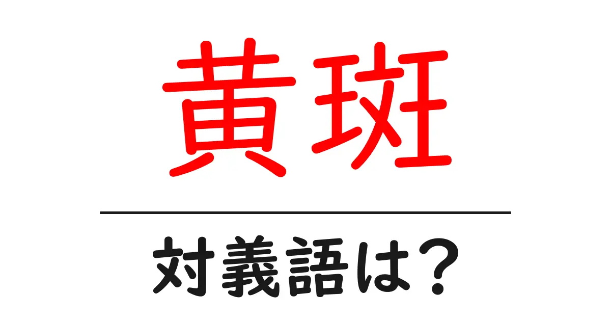 黄斑の対義語・反対語を使用例を交えて分かりやすく解説!