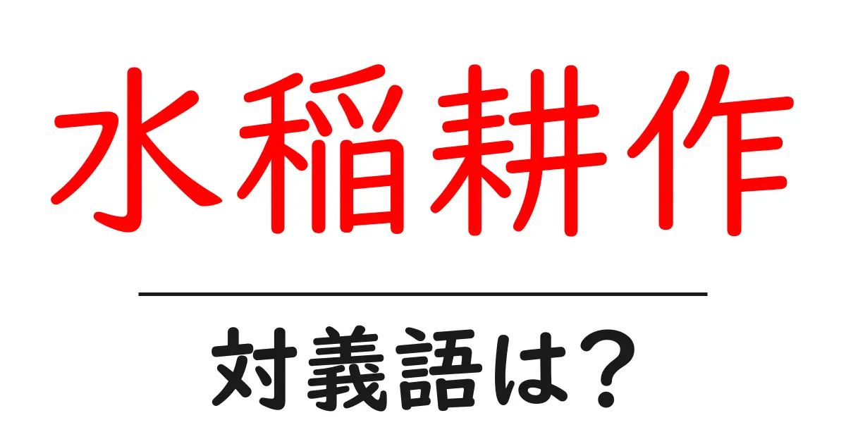 水稲耕作の対義語・反対語を使用例を交えて分かりやすく解説!