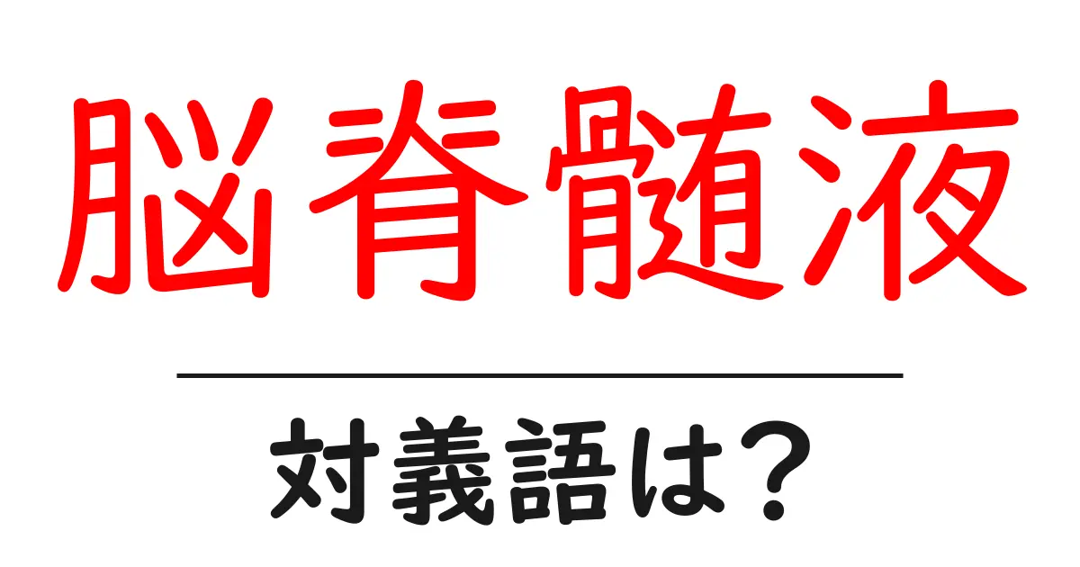 脳脊髄液の対義語・反対語を使用例を交えて分かりやすく解説!