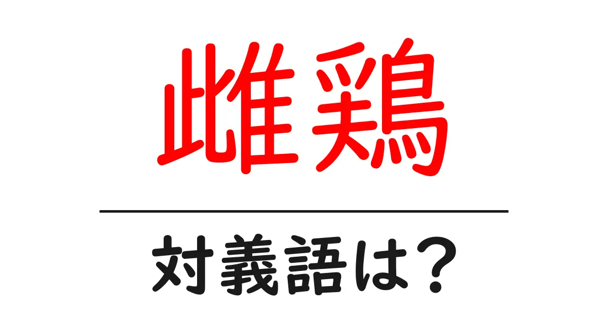 雌鶏の対義語・反対語を使用例を交えて分かりやすく解説!