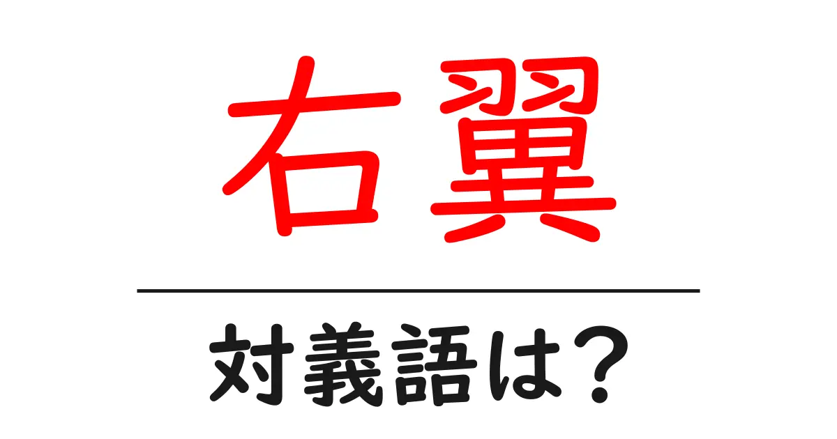 右翼の対義語・反対語を使用例を交えて分かりやすく解説!