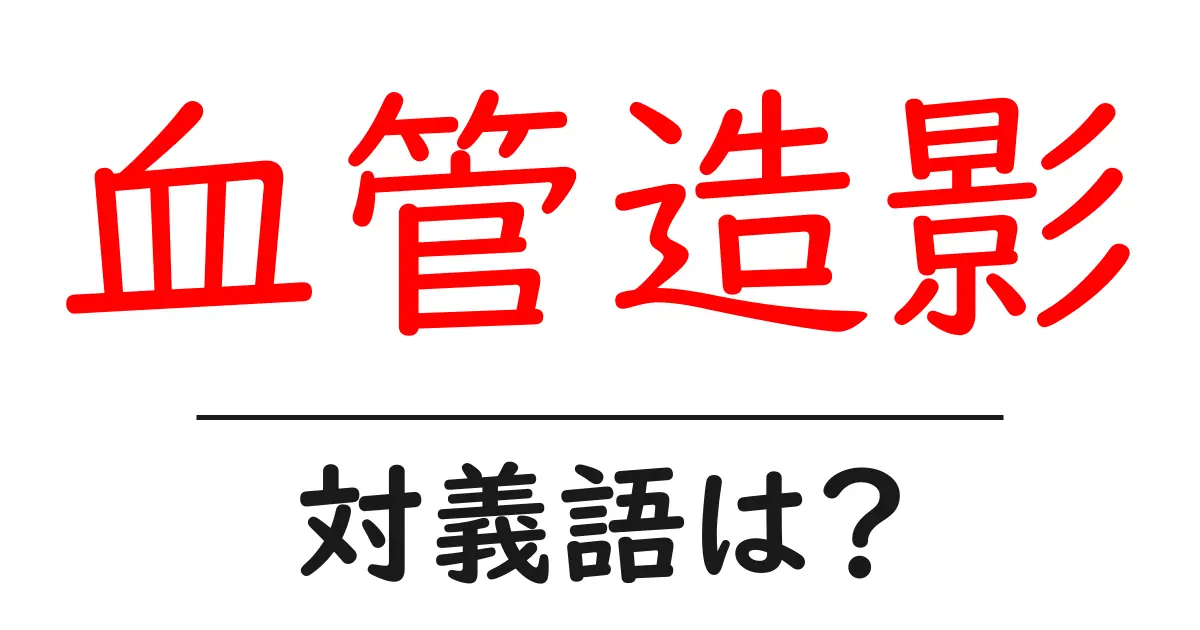 血管造影の対義語・反対語を使用例を交えて分かりやすく解説！