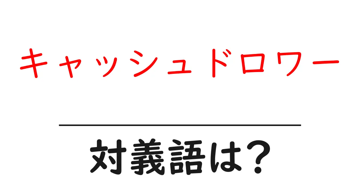 キャッシュドロワーの対義語・反対語を使用例を交えて分かりやすく解説!