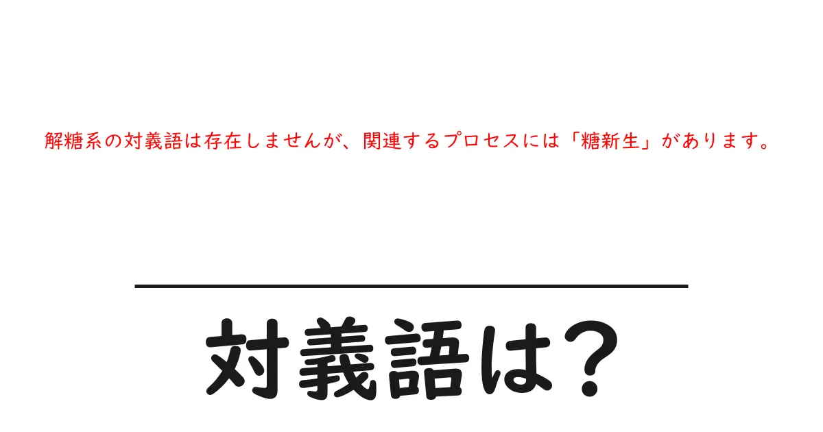 解糖系の対義語は存在しませんが、関連するプロセスには「糖新生」があります。の対義語・反対語を使用例を交えて分かりやすく解説!