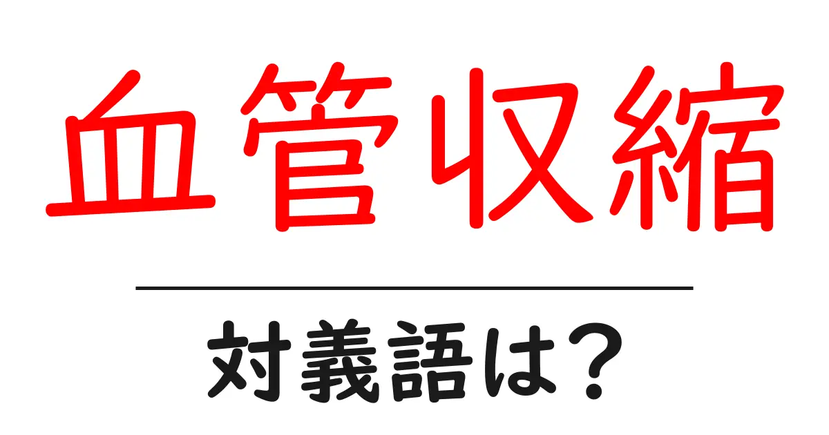 血管収縮の対義語・反対語を使用例を交えて分かりやすく解説！