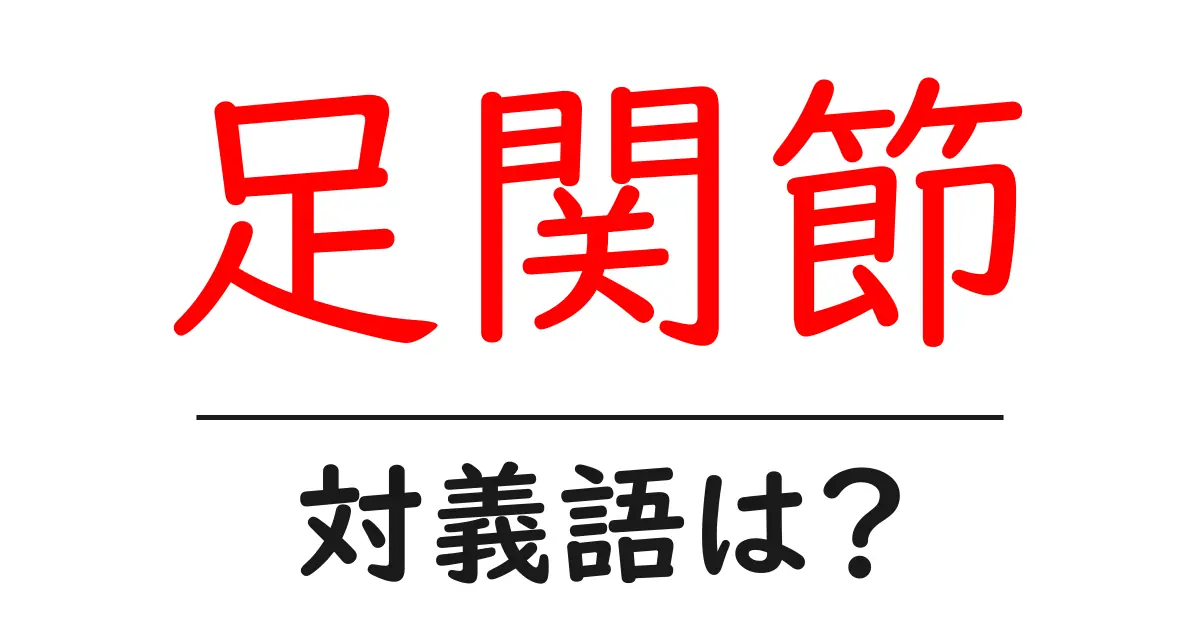 足関節の対義語・反対語を使用例を交えて分かりやすく解説!
