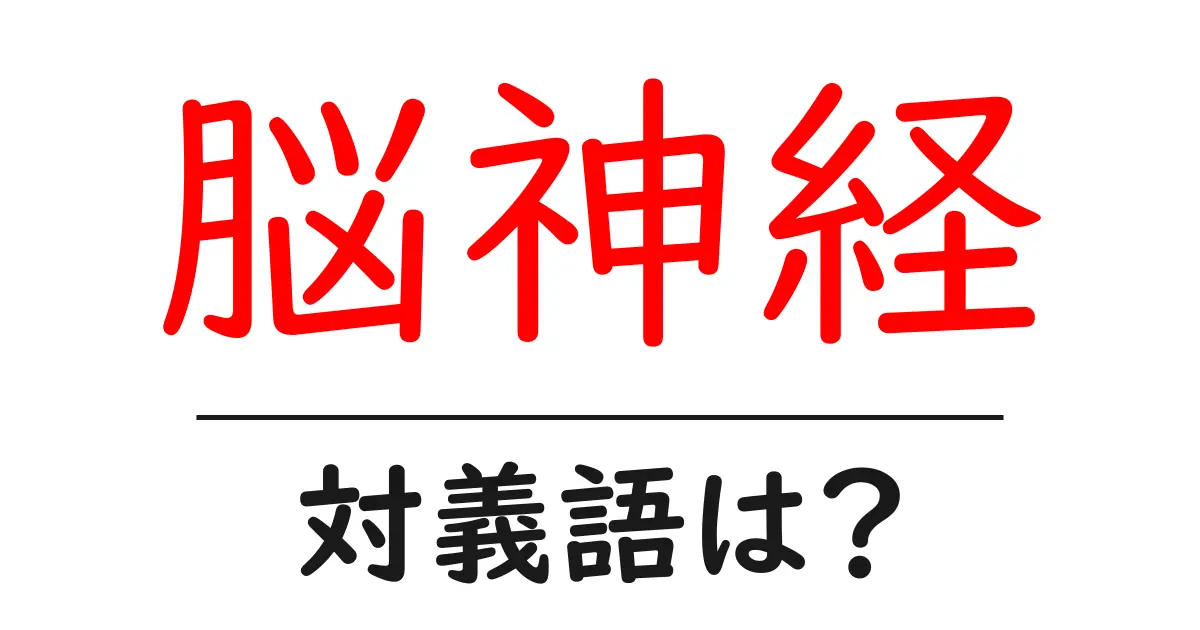 脳神経の対義語・反対語を使用例を交えて分かりやすく解説!