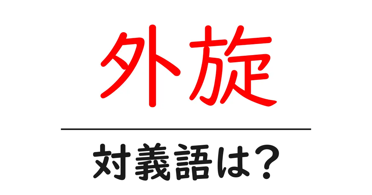 外旋の対義語・反対語を使用例を交えて分かりやすく解説!