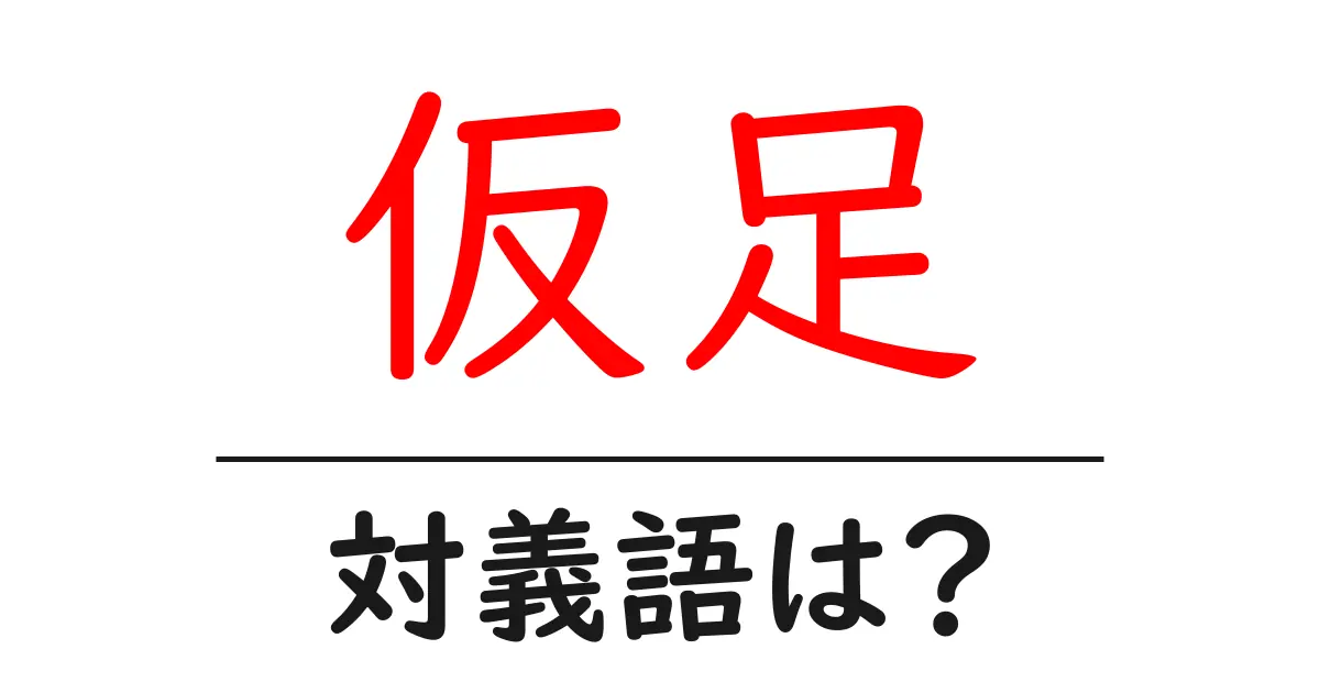 仮足の対義語・反対語を使用例を交えて分かりやすく解説!