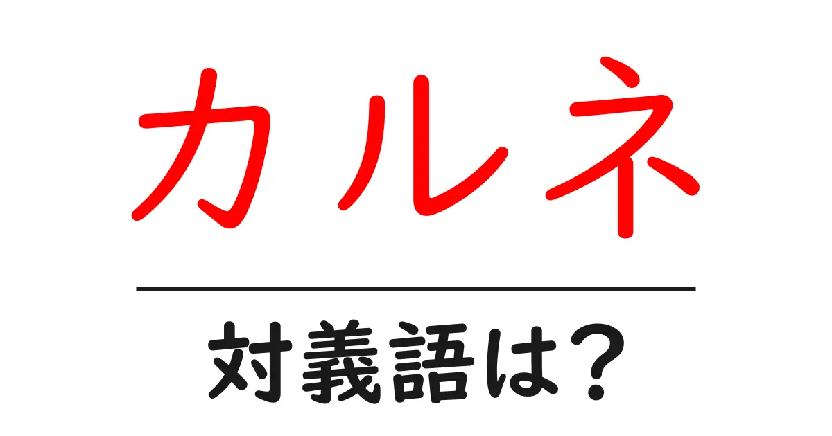 カルネの対義語・反対語を使用例を交えて分かりやすく解説!