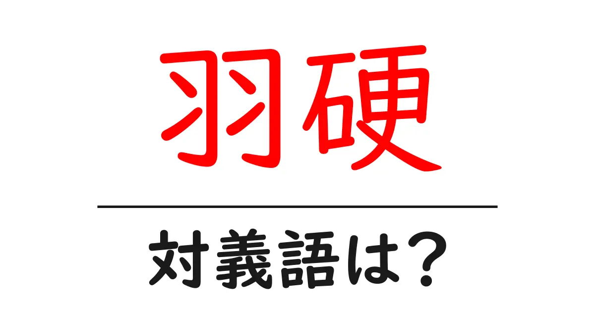 羽硬の対義語・反対語を使用例を交えて分かりやすく解説!