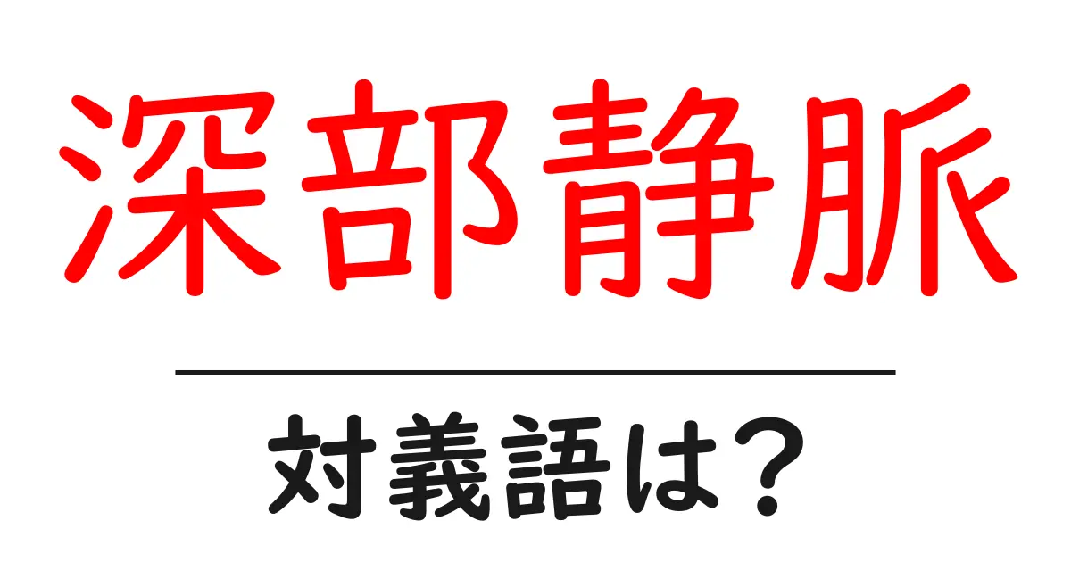 深部静脈の対義語・反対語を使用例を交えて分かりやすく解説!