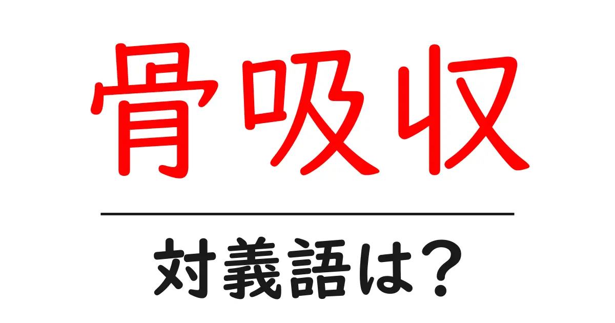 骨吸収の対義語・反対語を使用例を交えて分かりやすく解説!