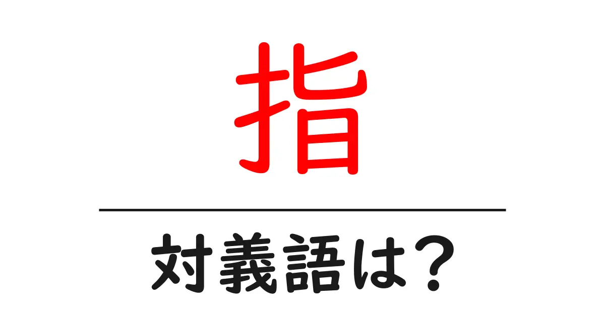 指の対義語・反対語を使用例を交えて分かりやすく解説!