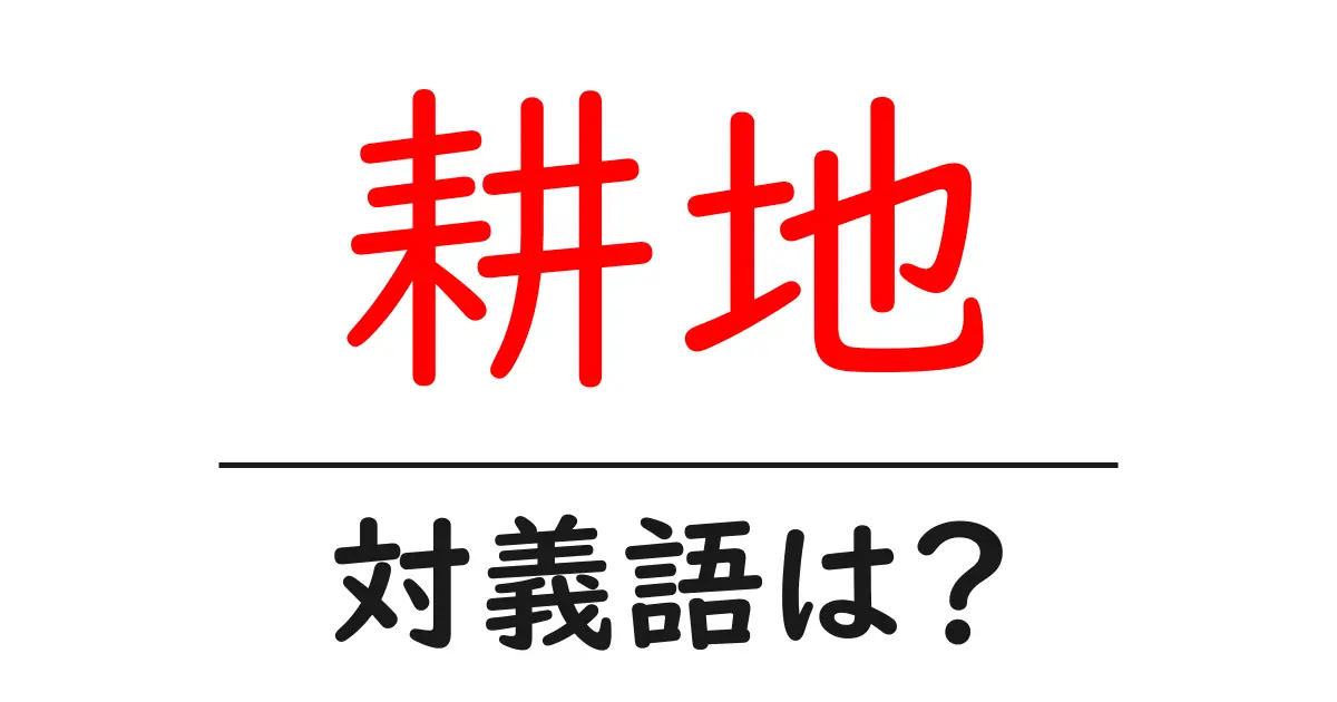 耕地の対義語・反対語を使用例を交えて分かりやすく解説!