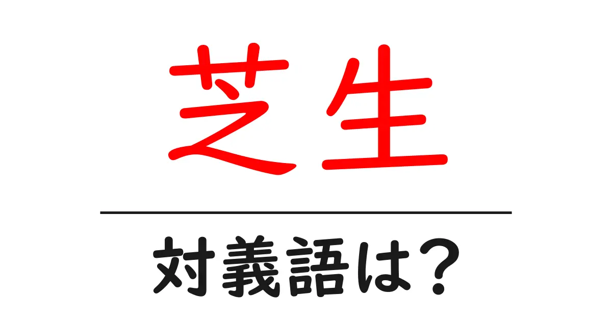 芝生の対義語・反対語を使用例を交えて分かりやすく解説！
