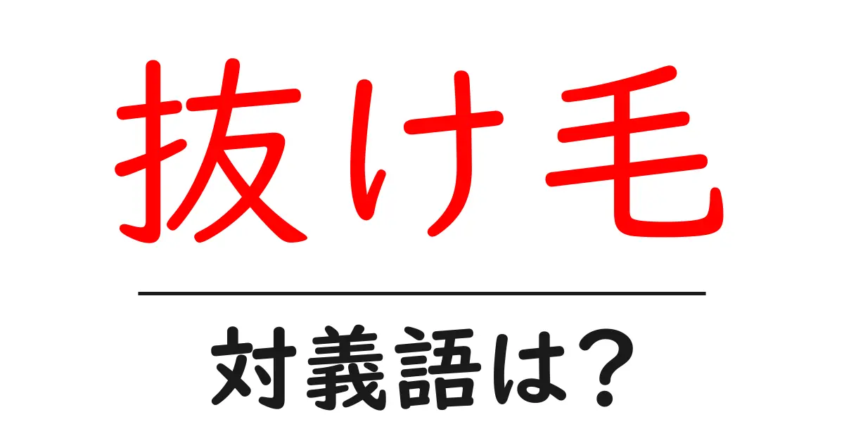 抜け毛の対義語・反対語を使用例を交えて分かりやすく解説!