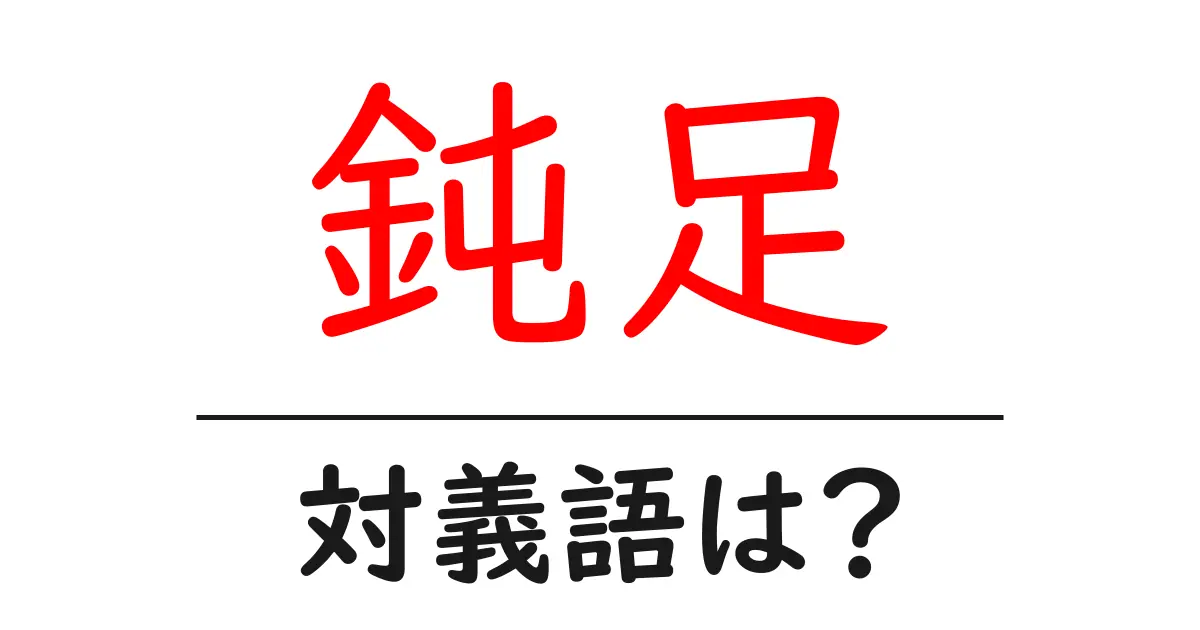 鈍足の対義語・反対語を使用例を交えて分かりやすく解説!