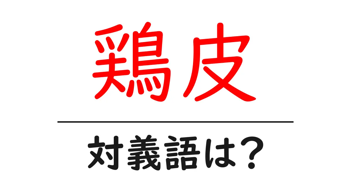 鶏皮の対義語・反対語を使用例を交えて分かりやすく解説!