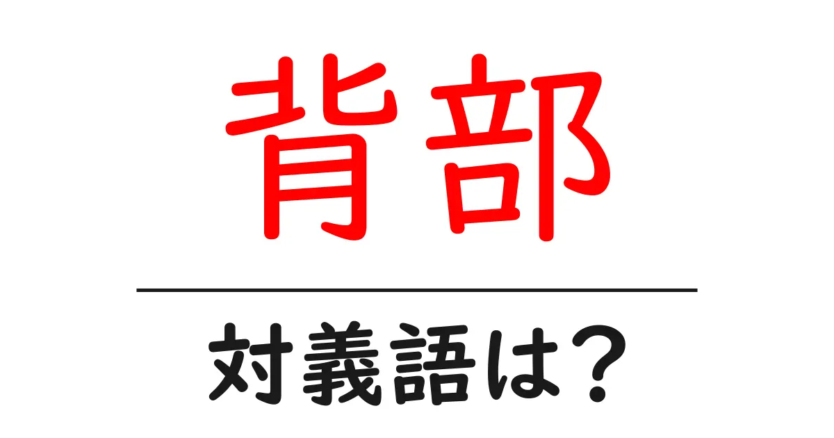 背部の対義語・反対語を使用例を交えて分かりやすく解説!