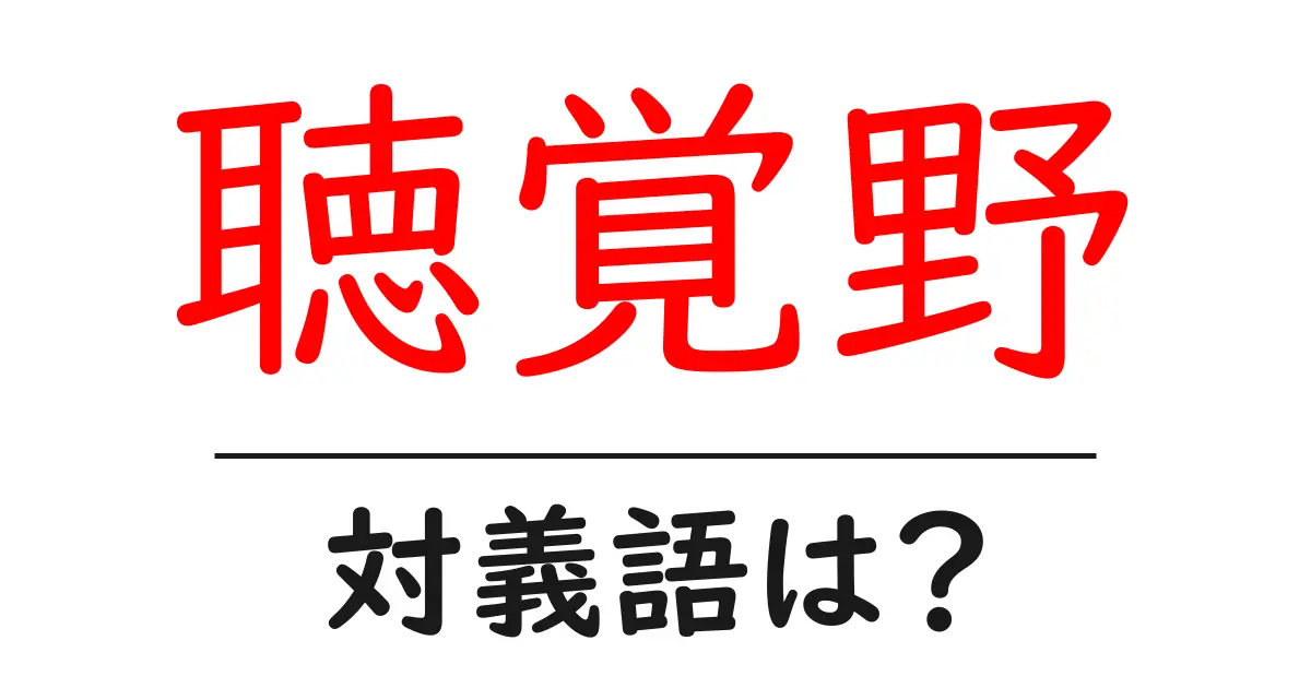 聴覚野の対義語・反対語を使用例を交えて分かりやすく解説!