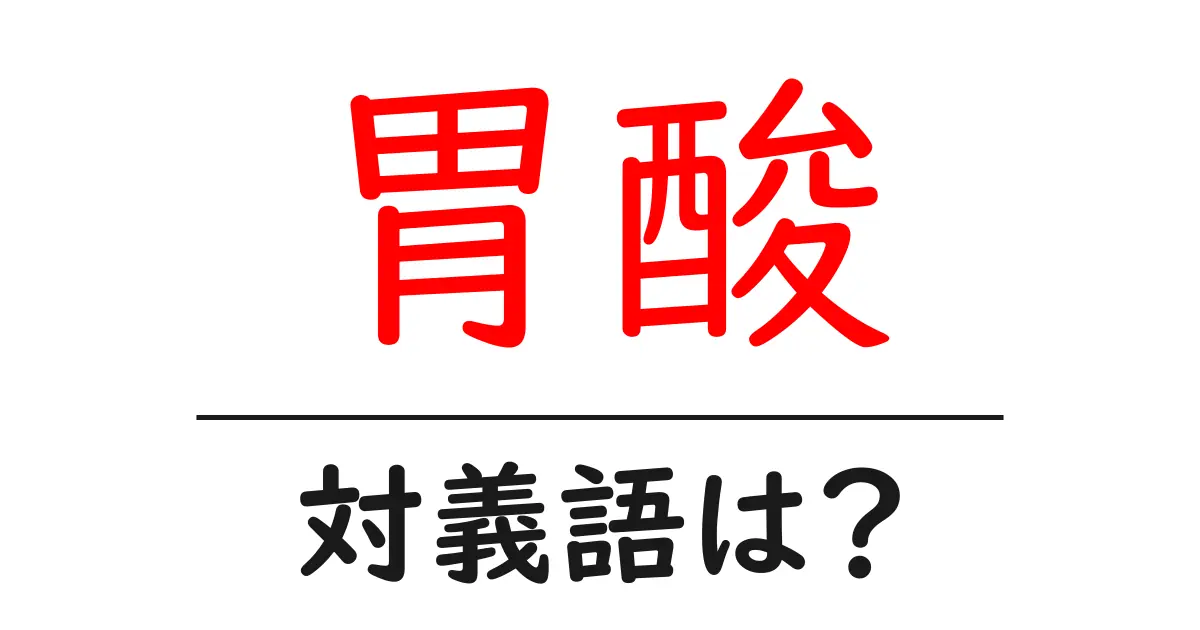 胃酸の対義語・反対語を使用例を交えて分かりやすく解説!