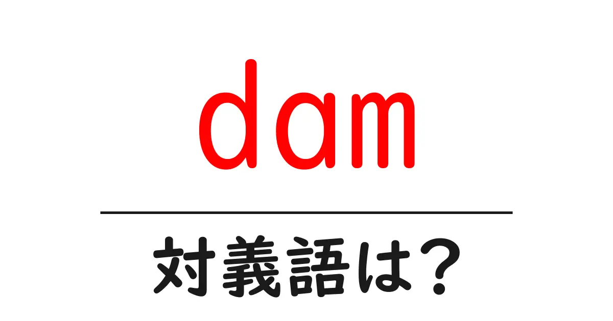 damの対義語・反対語を使用例を交えて分かりやすく解説！
