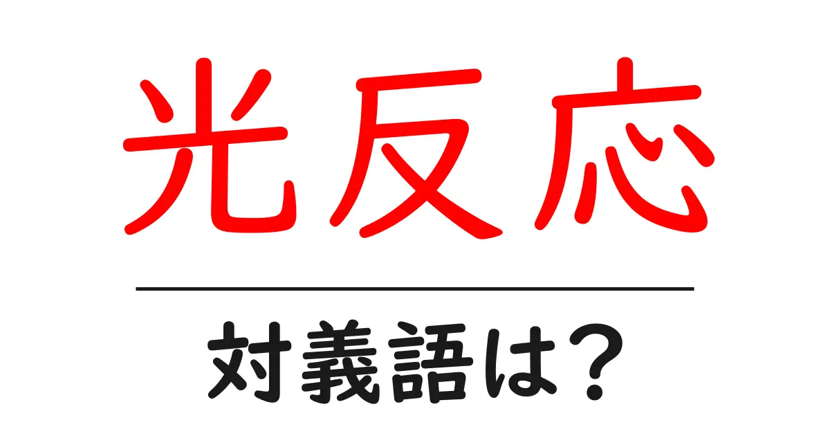 光反応の対義語・反対語を使用例を交えて分かりやすく解説!