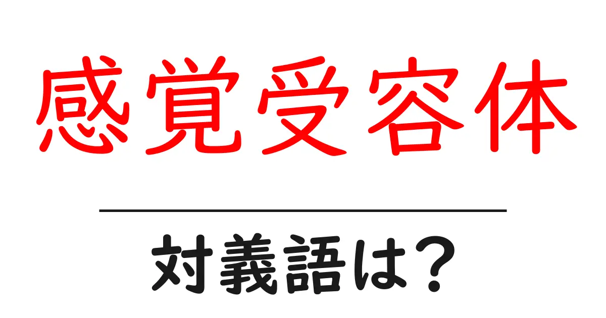 感覚受容体の対義語・反対語を使用例を交えて分かりやすく解説!
