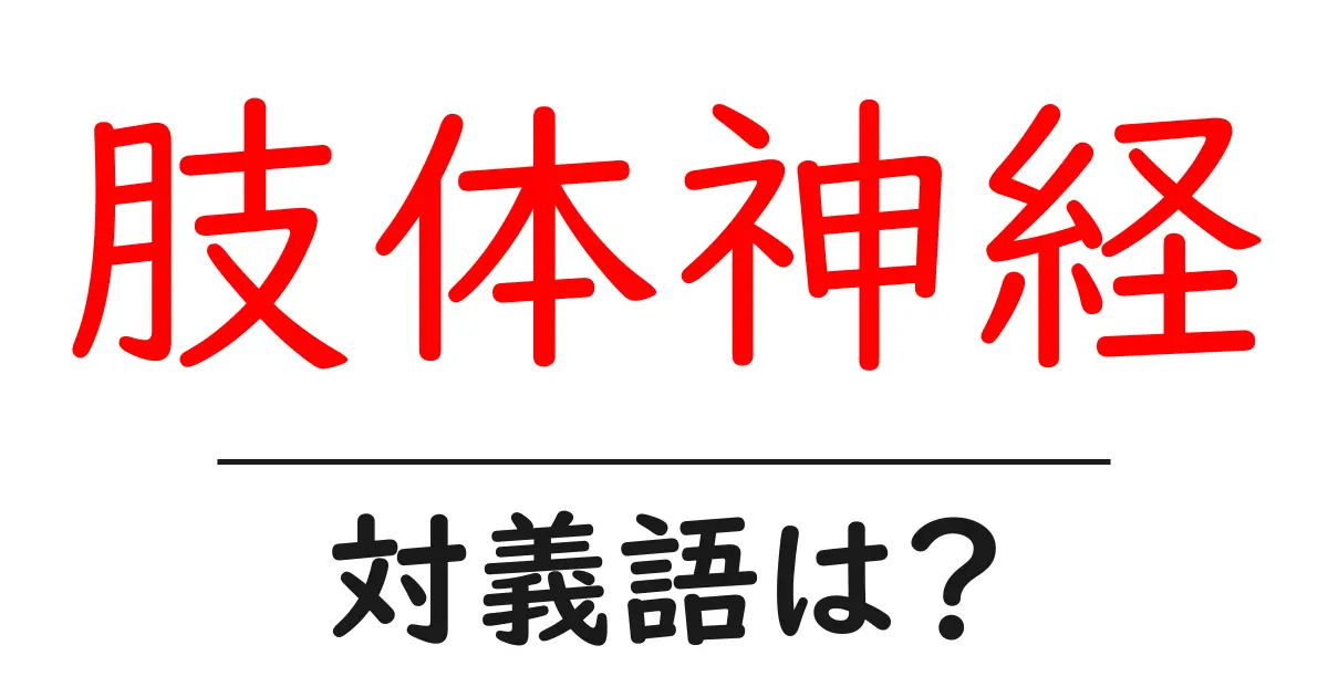 肢体神経の対義語・反対語を使用例を交えて分かりやすく解説!