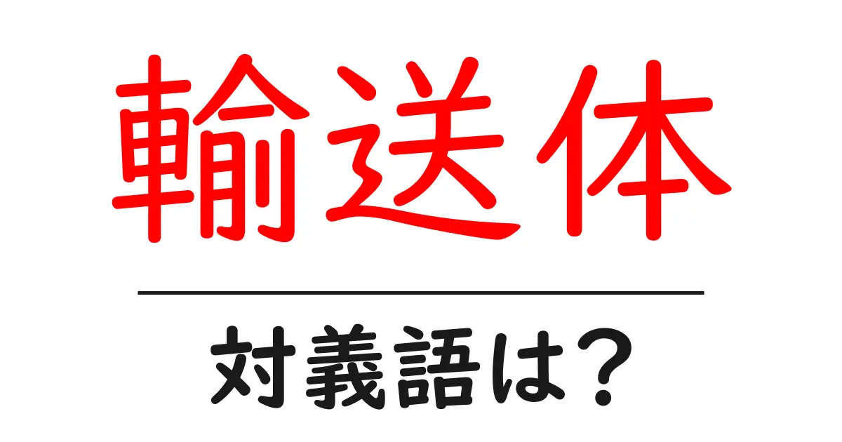 輸送体の対義語・反対語を使用例を交えて分かりやすく解説！