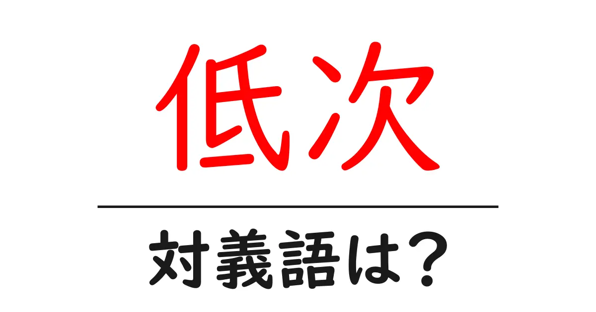 低次の対義語・反対語を使用例を交えて分かりやすく解説!