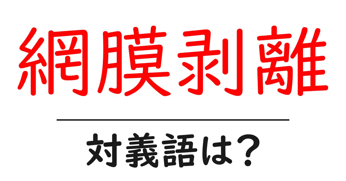 網膜剥離の対義語・反対語を使用例を交えて分かりやすく解説！