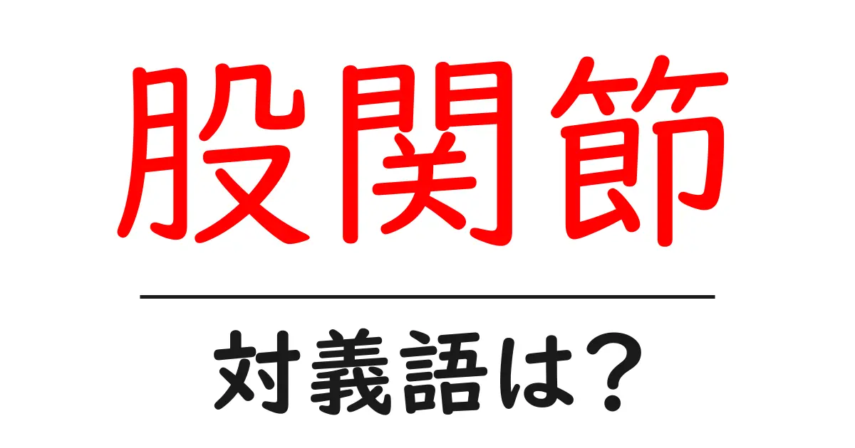 股関節の対義語・反対語を使用例を交えて分かりやすく解説!
