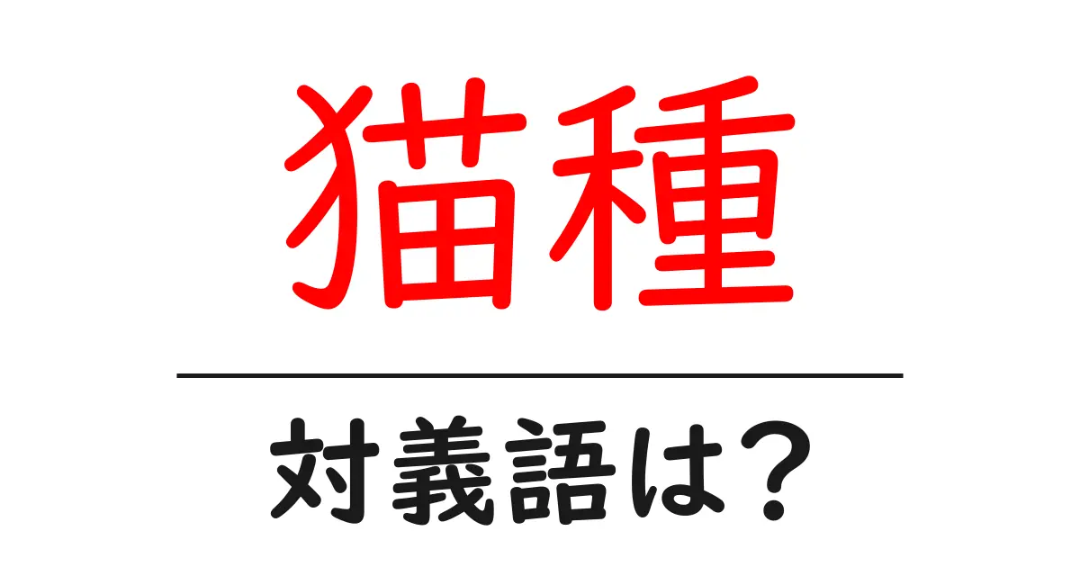 猫種の対義語・反対語を使用例を交えて分かりやすく解説!