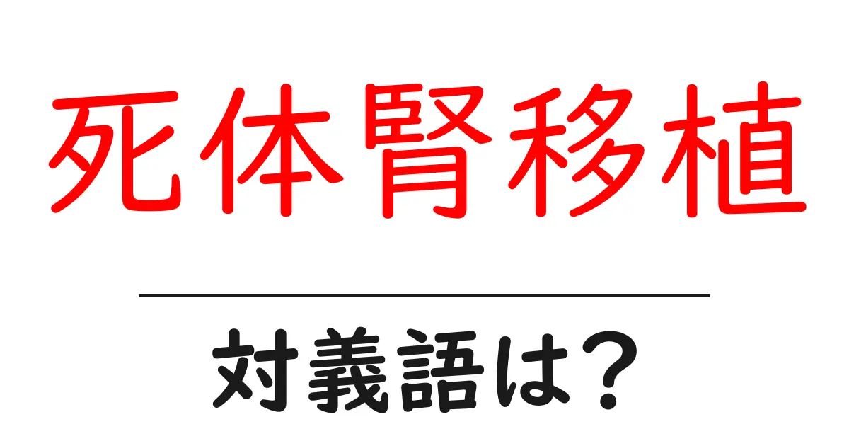 死体腎移植の対義語・反対語を使用例を交えて分かりやすく解説!