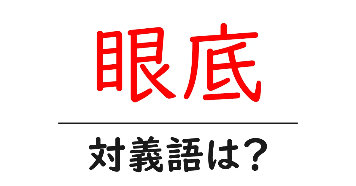 眼底の対義語・反対語を使用例を交えて分かりやすく解説!