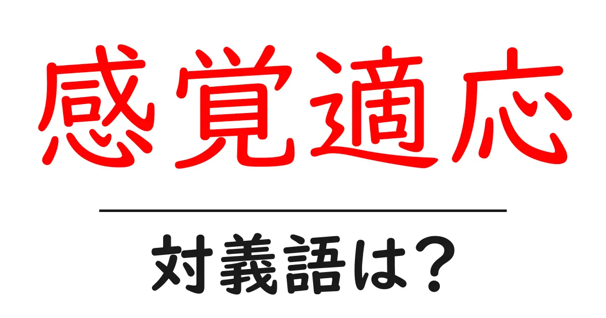 感覚適応の対義語・反対語を使用例を交えて分かりやすく解説!