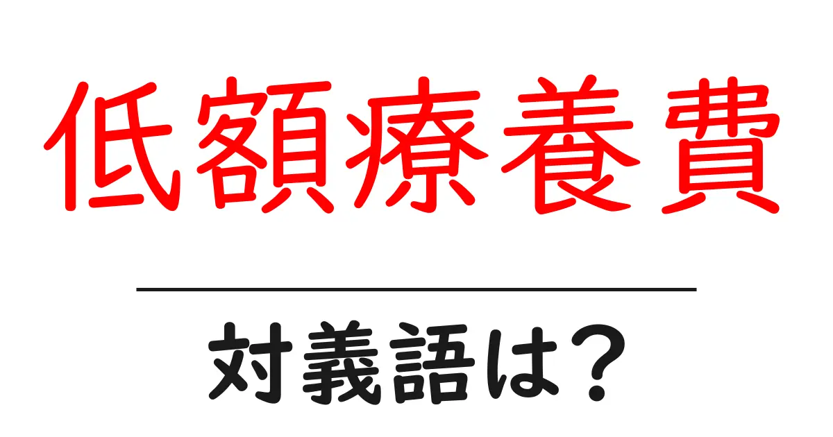 低額療養費の対義語・反対語を使用例を交えて分かりやすく解説!