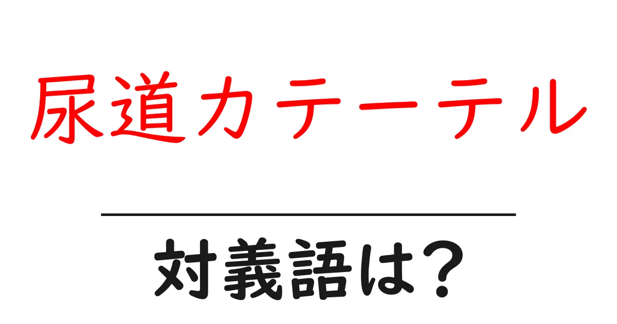 尿道カテーテルの対義語・反対語を使用例を交えて分かりやすく解説!