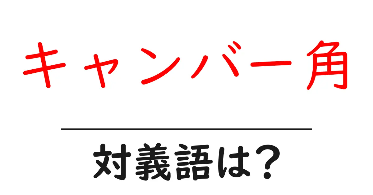 キャンバー角の対義語・反対語を使用例を交えて分かりやすく解説!
