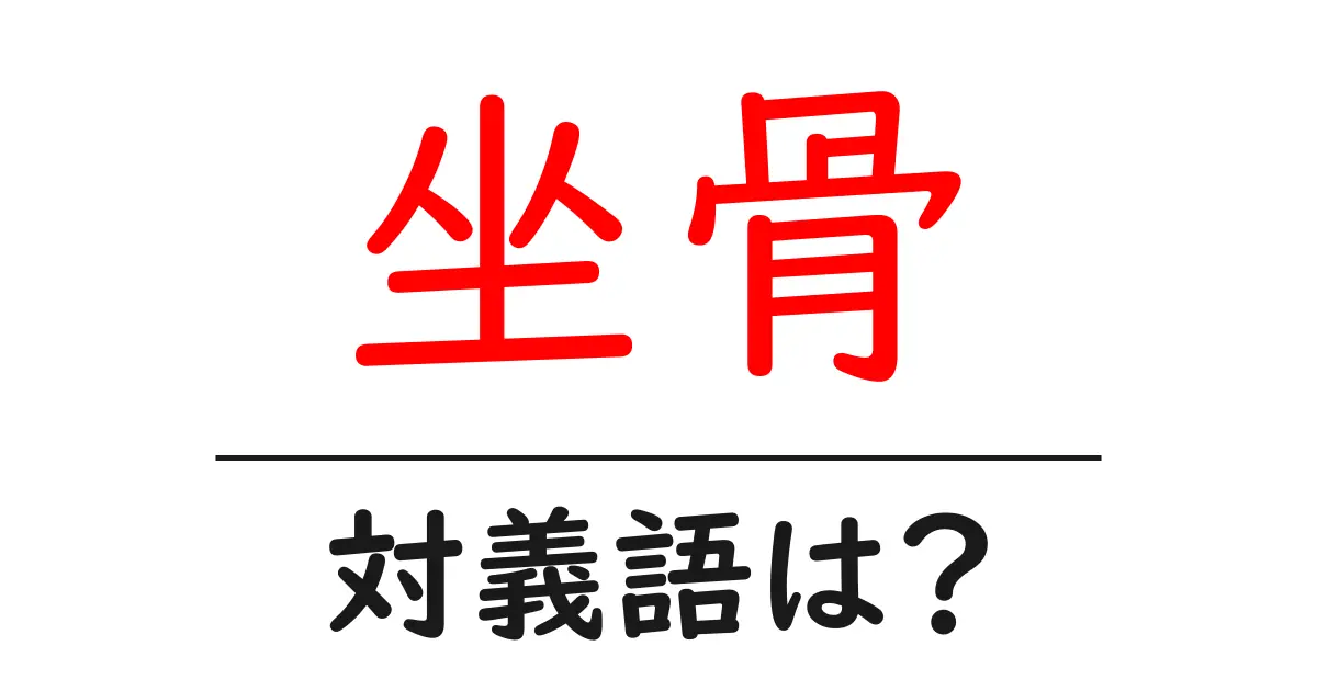 坐骨の対義語・反対語を使用例を交えて分かりやすく解説!